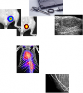 Preclinical imaging Oncology Imavita