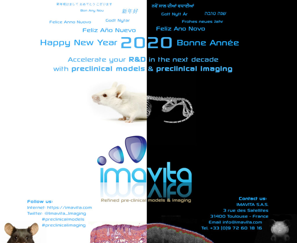 Happy New year and Best Wishes from Imavita for 2020!