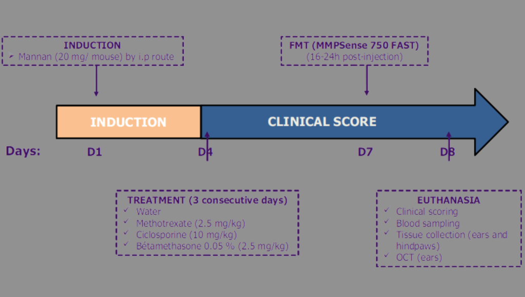 Psoriasis Artritis Model Schema